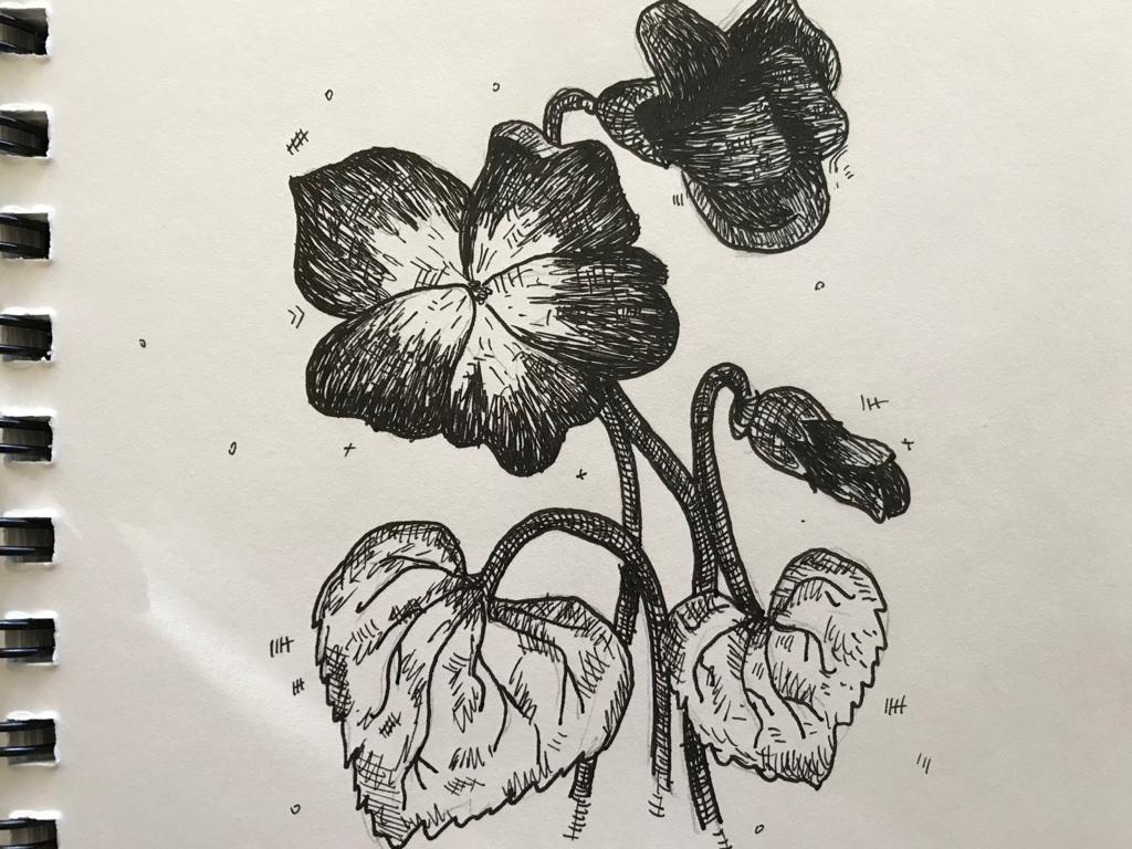An ink picture of a flower
