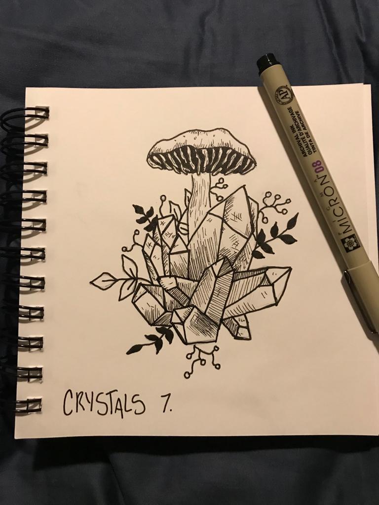 An ink picture a crystal formation that is growing a mushroom, and some small plants