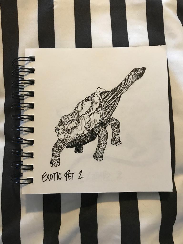An ink sketch of a long-necked tortoise