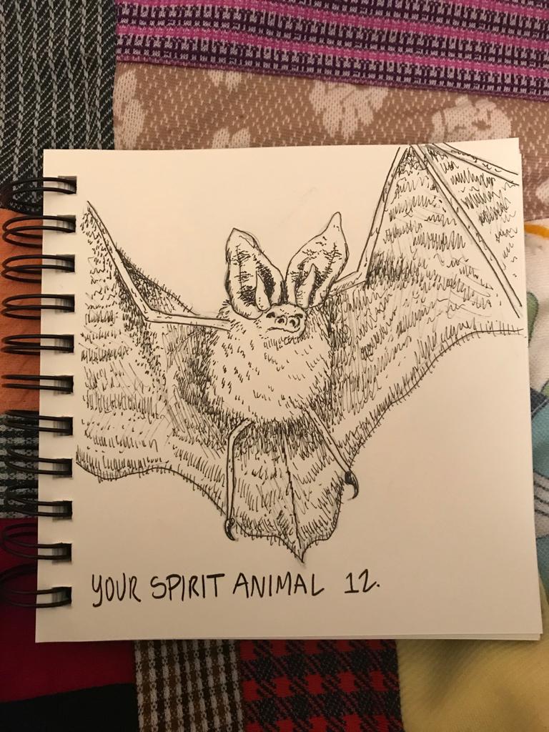 A detailed ink drawing of a bat
